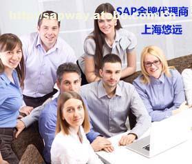 選擇上海悠遠SAP咨詢公司，享受專業(yè)SAP金牌服務