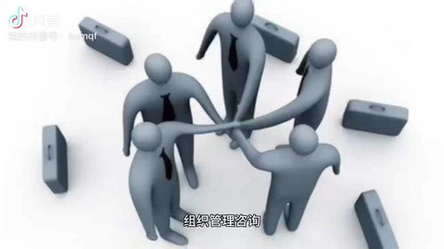 組織管理咨詢與軟件開發(fā) 協(xié)同創(chuàng)新的關鍵路徑