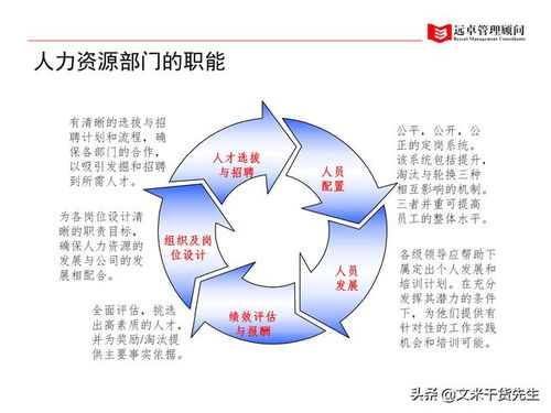 系統性軟件開發 驅動100頁客戶案例與人力資源管理的全面提升