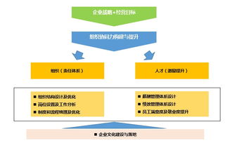 解碼企業成長的雙引擎 管理咨詢、培訓與軟件開發的協同之道