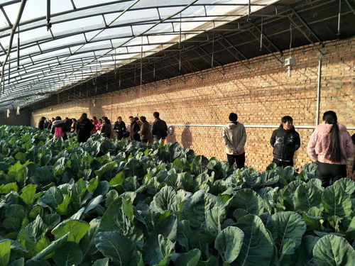 助推北京農業信息化發展，奧科美獲北京市農產品產銷信息協會表彰