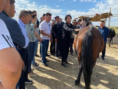 喜報(bào)頻傳展風(fēng)采，技術(shù)培訓(xùn)促振興——我校教師榮獲“自治區(qū)先進(jìn)工作者”榮譽(yù)稱號(hào)，并開展家禽養(yǎng)殖技術(shù)培訓(xùn)