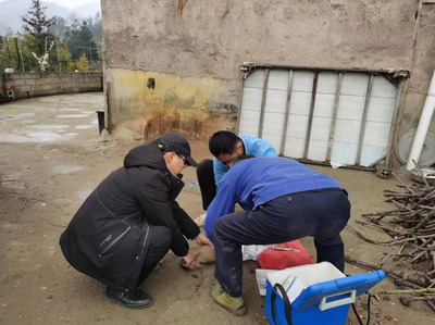 清鎮(zhèn)市麥格鄉(xiāng) 扎實(shí)做好春季動(dòng)物防疫工作 強(qiáng)化家禽養(yǎng)殖技術(shù)培訓(xùn)