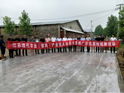 豐縣示范基地引領(lǐng)技術(shù)革新，助推蛋雞養(yǎng)殖產(chǎn)業(yè)提質(zhì)增效